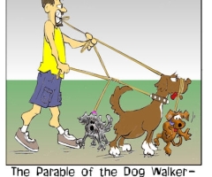 Dog Walker