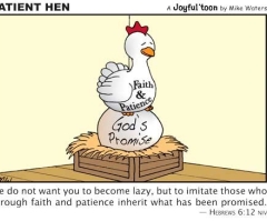 Patient Hen