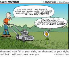 Lawn Mower