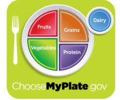 Food Pyramid Replaced by 'Simple' MyPlate, With First Lady Support