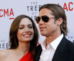 Angelina Jolie, Brad Pitt Snub Modern Education, Opt to Homeschool