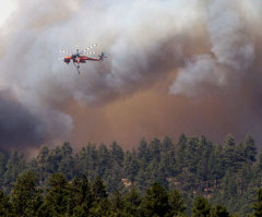 Ariz. Wallow Fire Now Largest in State History