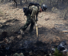 Arizona Fires 'Can't Get Any Worse,' McCain Blames Illegal Immigrants