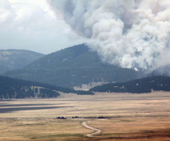 Los Alamos Residents Can Go Home - Las Conchas Fire Photos