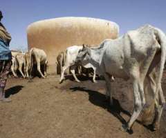 Hunger Cripples Somalia