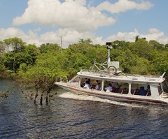 Google Street View Expanding to Brazil's Amazon Rainforest