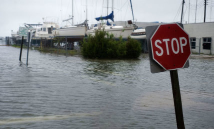 Hurricane Irene Knocks Out Power in N.C.; Category 1 Storm