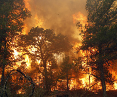 Bastrop Wildfire Burns 500 Homes in Texas; Most Destructive in State History