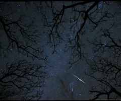 Americans Looking to Wednesday Morning Sky for Meteor Shower