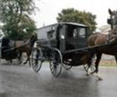 Amish Buggy Bill Religious Victory or Traffic Hazard?