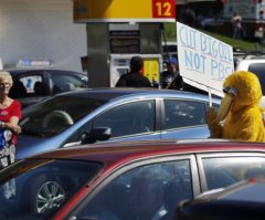 Should Big Bird Be Subsidized?