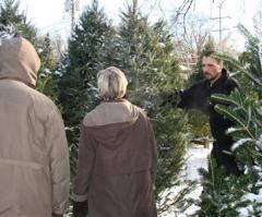 College Wants Club to Change 'Christmas' to 'Holiday' for Tree Sale Fundraiser