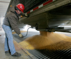 Gov't Ethanol Programs Linked to Massive Grassland Loss, Study Finds