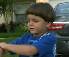 Gator Attacks 6-Year-Old: Boy Survives Alligator Attack - 'It's a Miracle,' Says Mom (VIDEO)