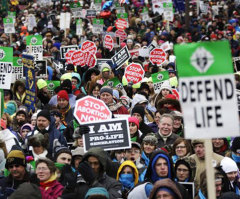 Will 2013 Be a Watershed Year for the Pro-Life Movement?