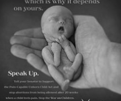 'Pain-Capable Unborn Child Protection Act' Gets Support From Heroic Media With Stunning Images